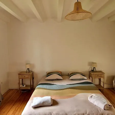 Villa 12 Personnes Proche Oecan, 10 Velos Et 4 Surf Fournis, Entierement Climatisee *