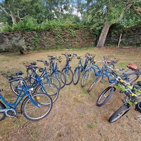 Villa 12 Personnes Proche Oecan, 10 Velos Et 4 Surf Fournis, Entierement Climatisee