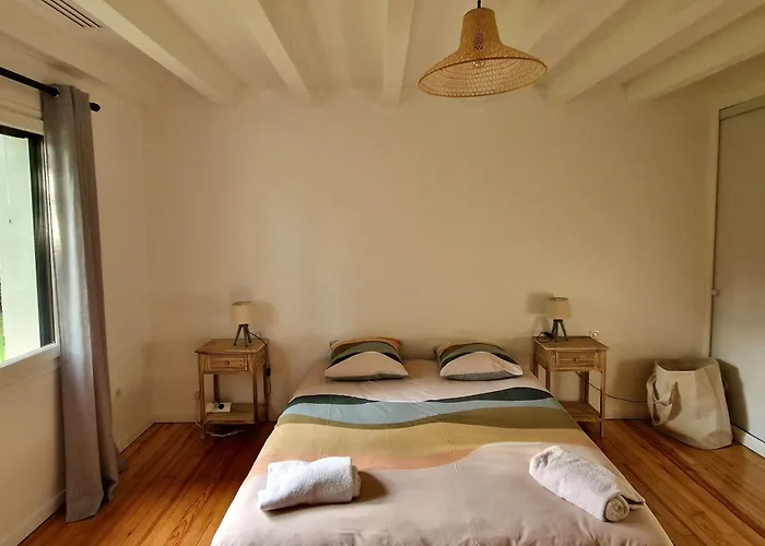 Villa 12 Personnes Proche Oecan, 10 Velos Et 4 Surf Fournis, Entierement Climatisee *